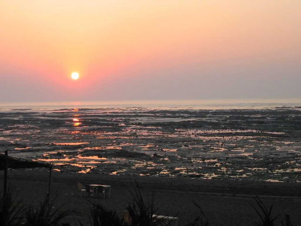Best Hotels in Daman Near Devka Beach: Your Ultimate Booking Guide